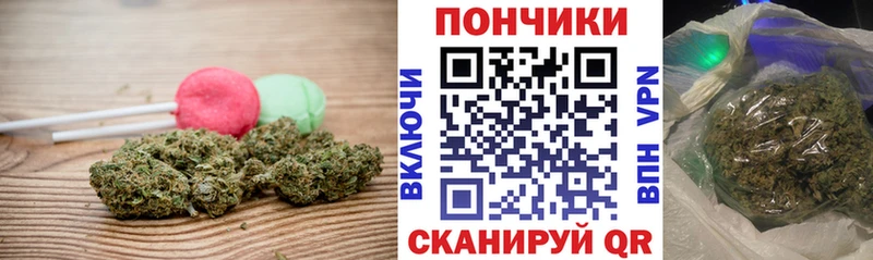 Canna-Cookies марихуана Сертолово