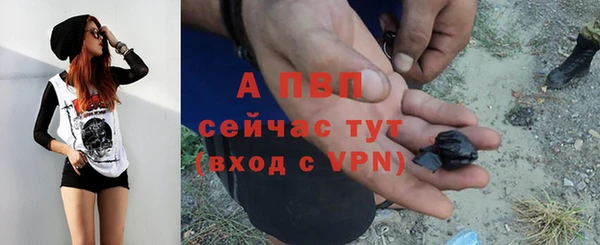 PSILOCYBIN Няндома