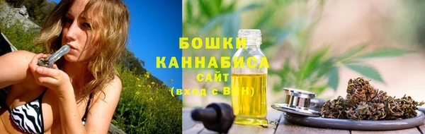 крисы Нязепетровск