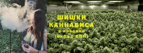 крисы Нязепетровск