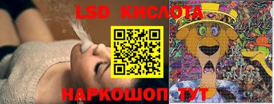 прущие грибы Обнинск