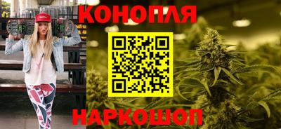 прущие грибы Обнинск