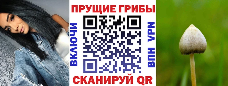 Галлюциногенные грибы ЛСД  Сертолово 