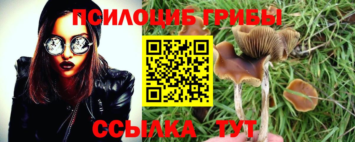 Псилоцибиновые грибы ЛСД Сертолово