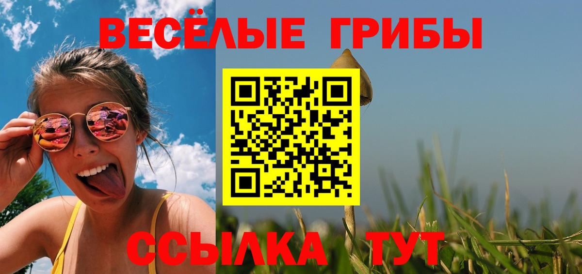 цены наркотик  Вход с VPN  Сертолово  Псилоцибиновые грибы GOLDEN TEACHER 